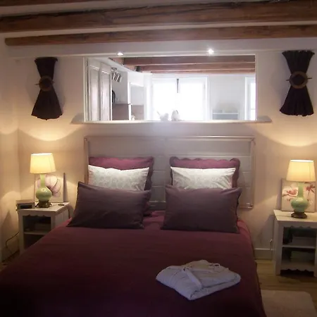 La Casa Victoria -stanislas Area -suite 65m2 Or Loft 75m2 * ナンシー