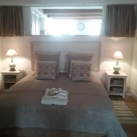 Appartement La Casa Victoria -stanislas Area -suite 65m2 Or Loft 75m2 *