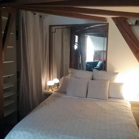 La Casa Victoria -stanislas Area -suite 65m2 Or Loft 75m2 アパート