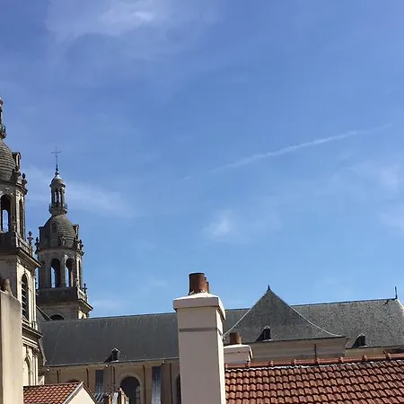 La Casa Victoria -stanislas Area -suite 65m2 Or Loft 75m2 ナンシー