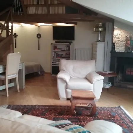 La Casa Victoria -stanislas Area -suite 65m2 Or Loft 75m2 Apartament