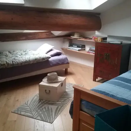 Appartement La Casa Victoria -stanislas Area -suite 65m2 Or Loft 75m2 Nancy