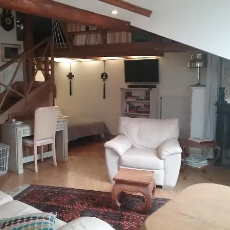 La Casa Victoria -stanislas Area -suite 65m2 Or Loft 75m2 Apartament Nancy