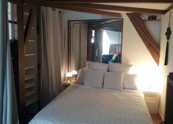 La Casa Victoria -stanislas Area -suite 65m2 Or Loft 75m2 Διαμέρισμα