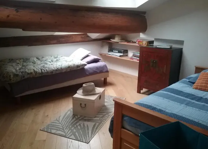 Апартаменты La Casa Victoria -stanislas Area -suite 65m2 Or Loft 75m2 Нанси